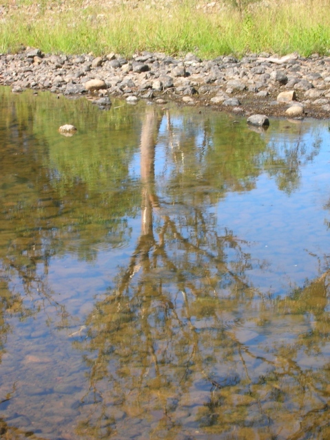 Reflection in Namoi River